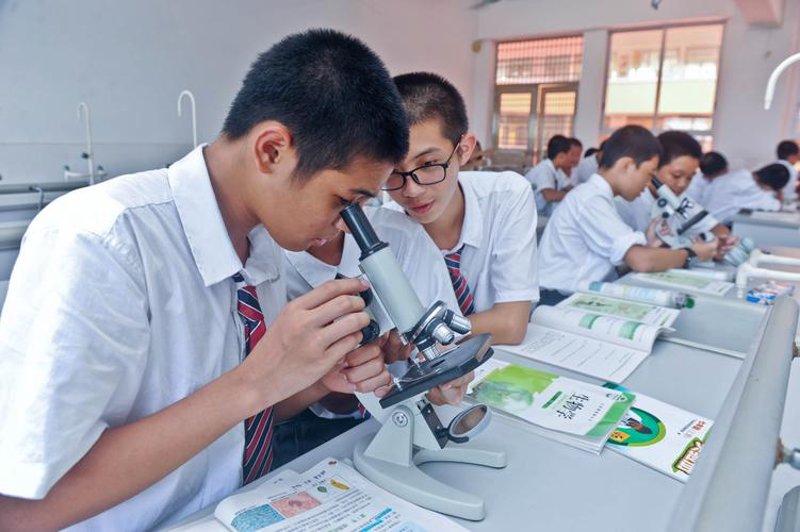 高考志愿填报,开启未来之门